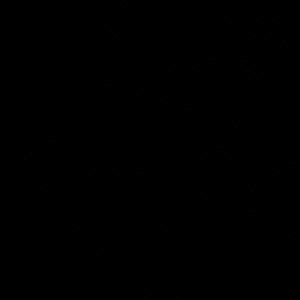 Meet your Posher, Darla